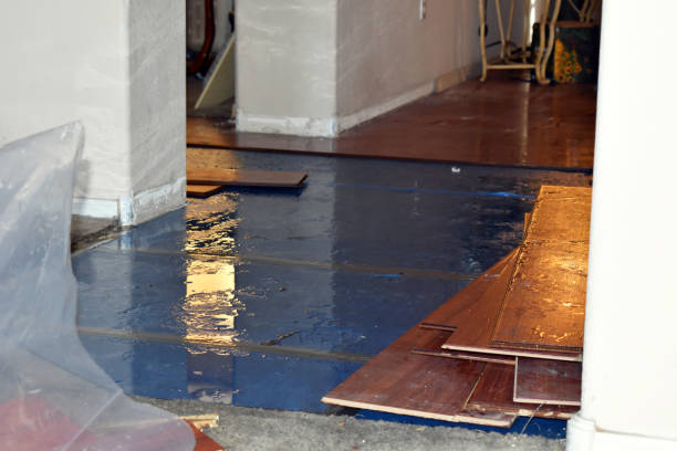 Professional Water Damage Restoration technician working in Dumas, TX